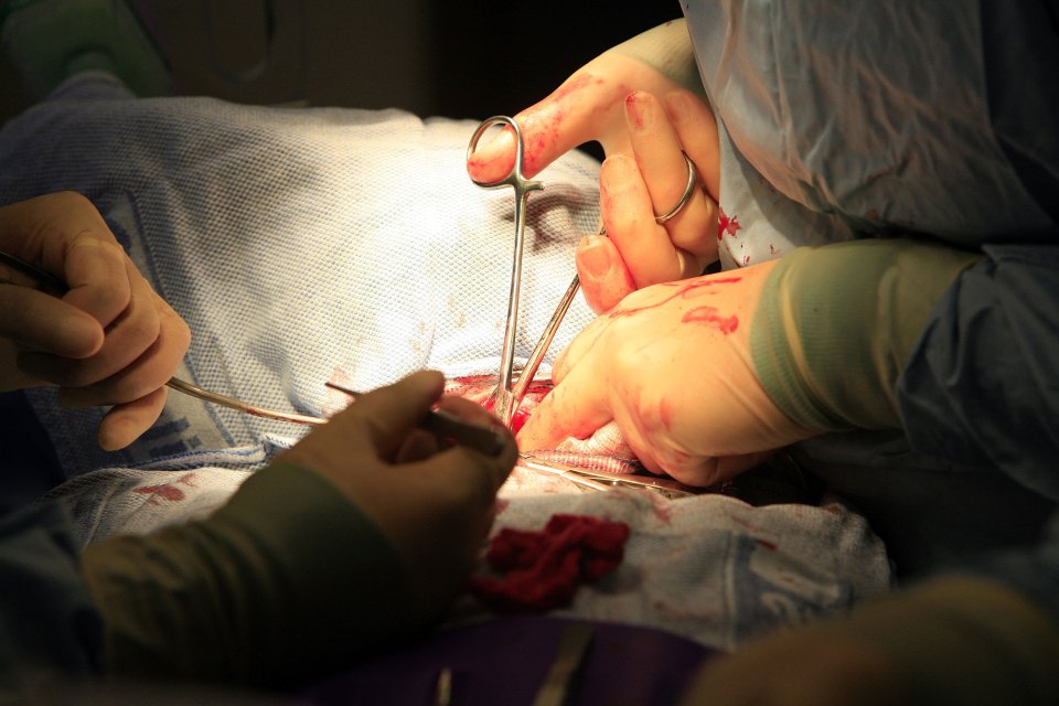 Harvested organs find their way to hospitals all over the world