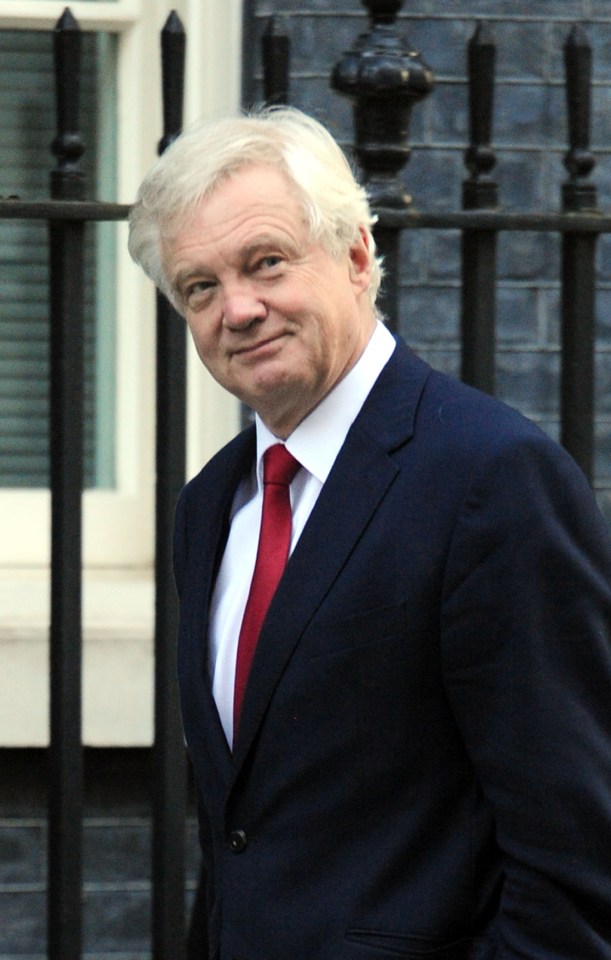 David Davis the Brexit Secretary, went to Brussels 