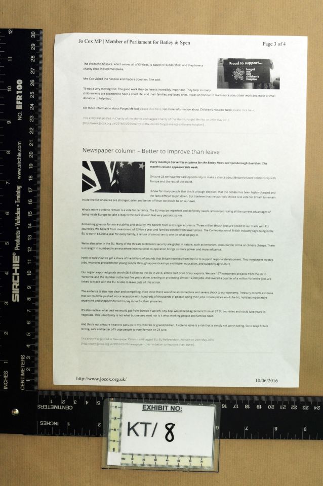 The court heard Mair searched for Mrs Cox on Wikipedia and Google Images