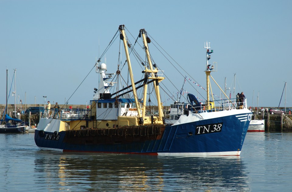 We should quit the Common Fisheries Policy, which has wiped out what ought to be a great renewable resource