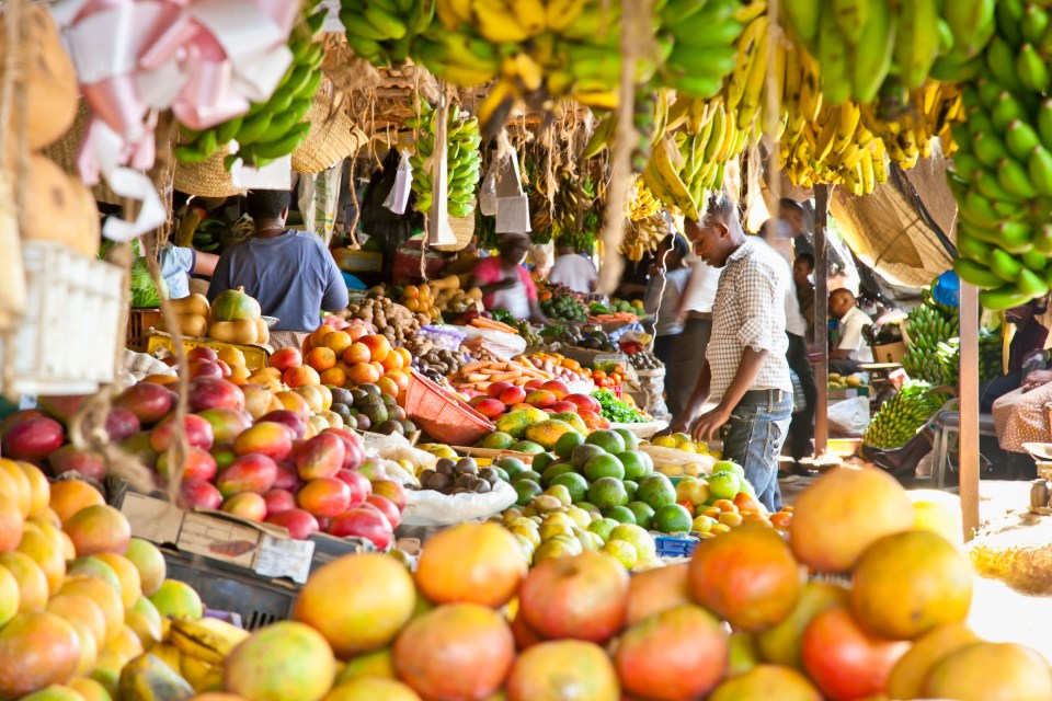 Opening our markets will do more for developing nations than decades of Government aid