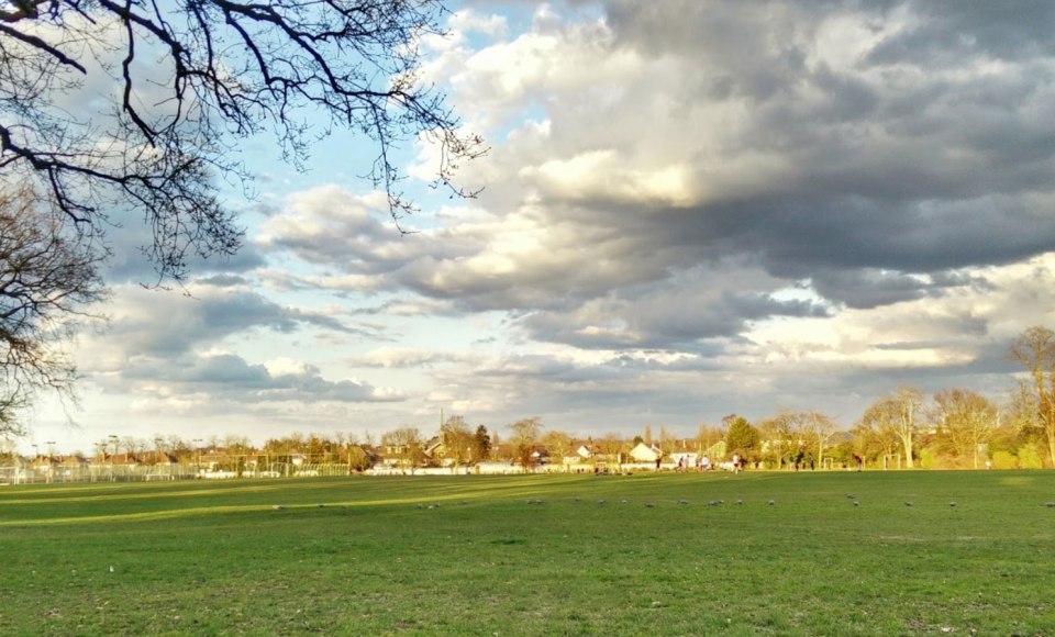 The 17-year-old was working at a pizza restaurant in Epsom, Surrey when Costica Voedes allegedly dragged her to a nearby park (pictured) and raped her