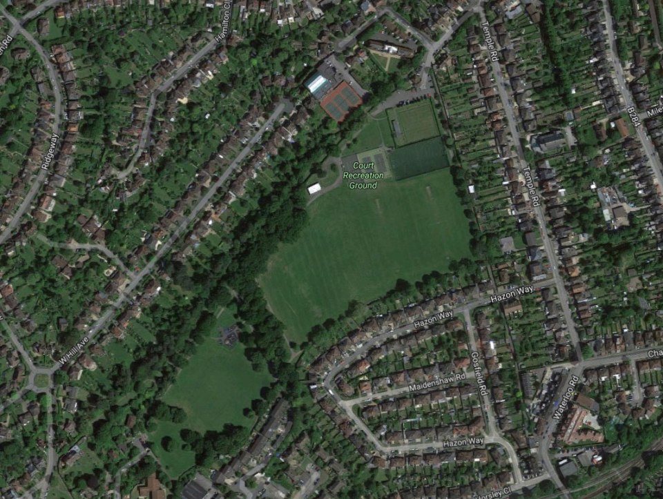 Voedes is said to have dragged the teenager into an area with long grass in the Court Recreation Ground in Epsom (pictured)