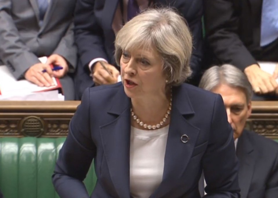 But his comments were immediately rejected by Downing Street – who said Theresa May had been 'very clear' that Britain was leaving the EU