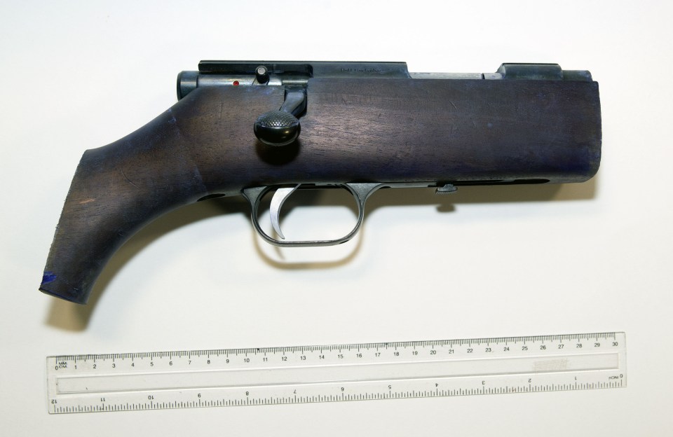 Police say they are hunting a third party who may have given Mair the rifle he used to shoot Jo Cox