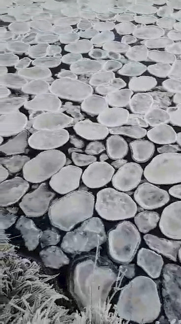 The rare ice pancakes on River Helmsdale at Helmsdale Strath in Sutherland