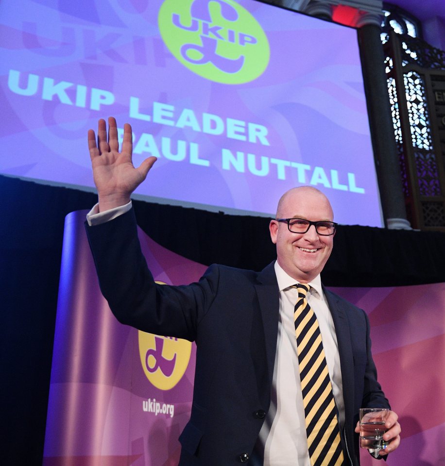 Newly elected leader of UKIP