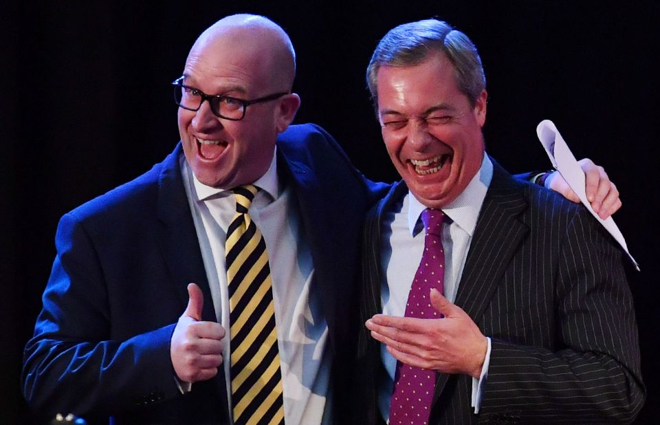 Former UK Independence Party (UKIP) lead