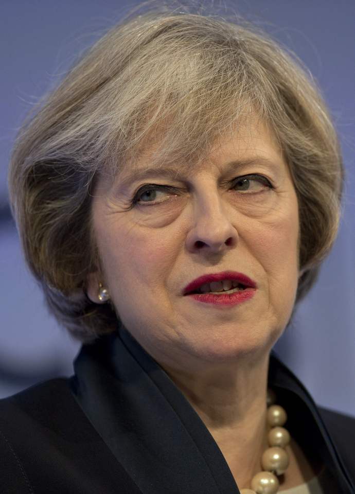 Pay to stay ... Theresa May hinted that Britain could continue paying membership fees to remain in the EU single market