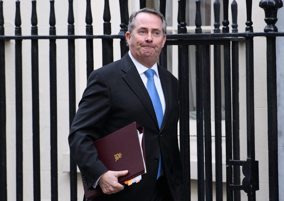 Government Ministers Attend The Weekly Cabinet Meeting