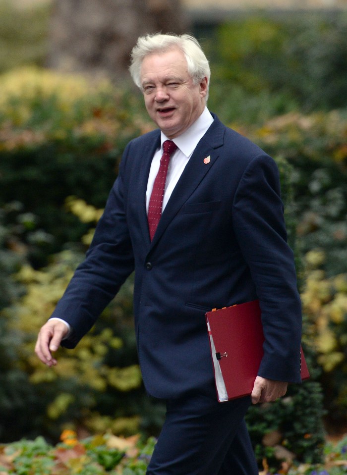 David Davies