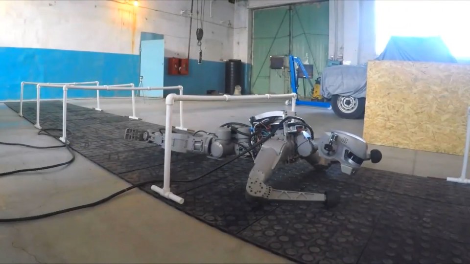 Fedor can crawl and is capable of getting back up after falling over 