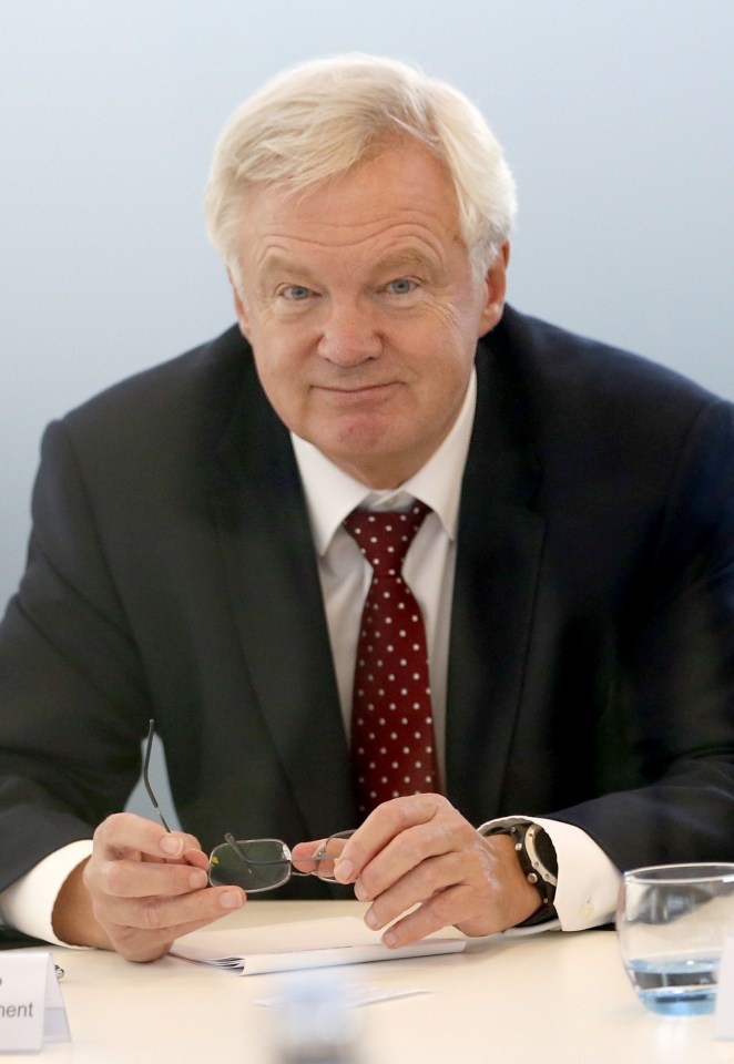 David Davis told a meeting of bankers this week that he is drawing up a hardball 'alternative strategy'