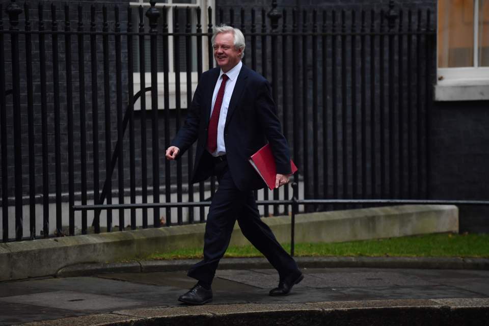  The minister had previously seemed lukewarm on the idea, which is not favoured by hardline Brexiteers