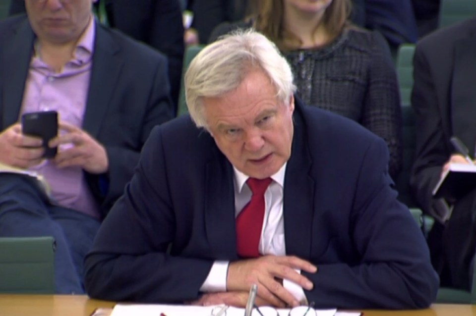 David Davis