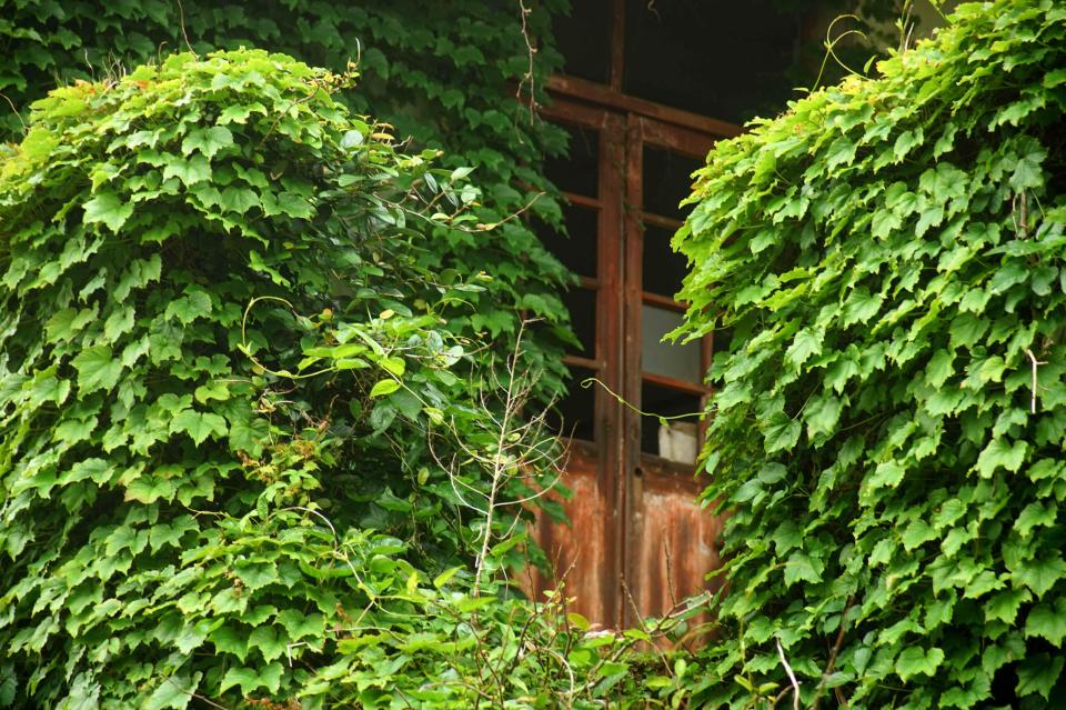  Gouqi is a popular sightseeing spot for tourists fascinated by its unique scenery