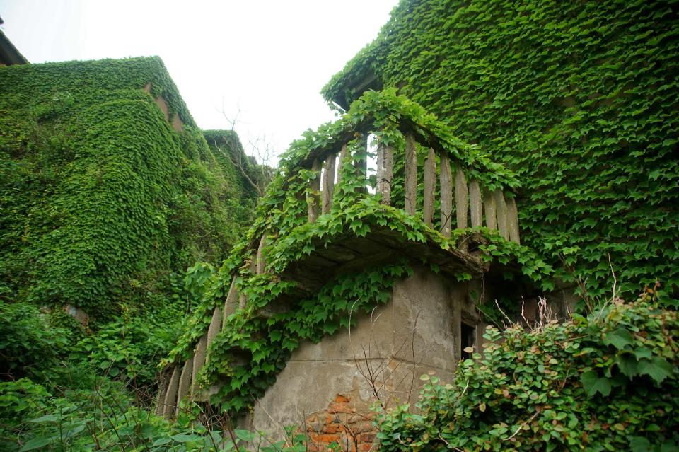 Leaves curl around a winding staircase in the village, which was deserted after fishermen moved to the mainland