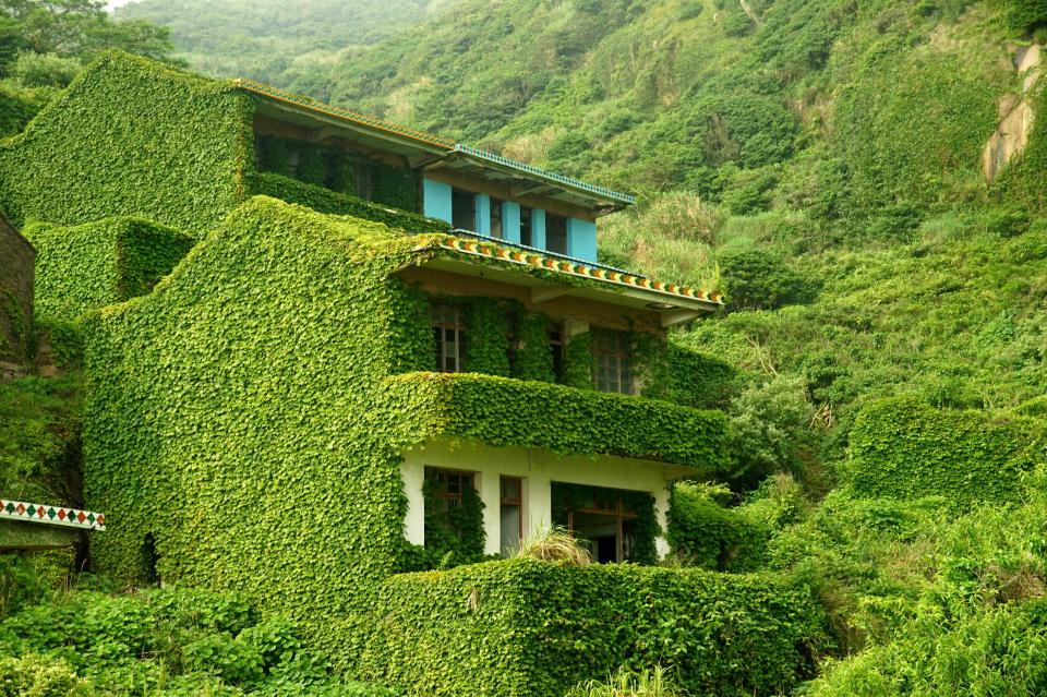  Plants tumbling down from the hillside encase the terraces of this empty home