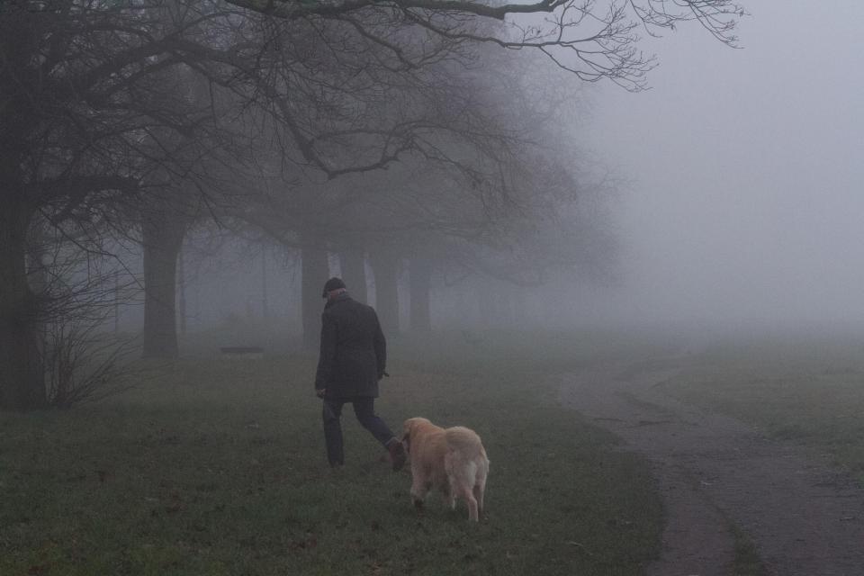 fog