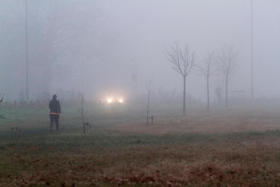 fog