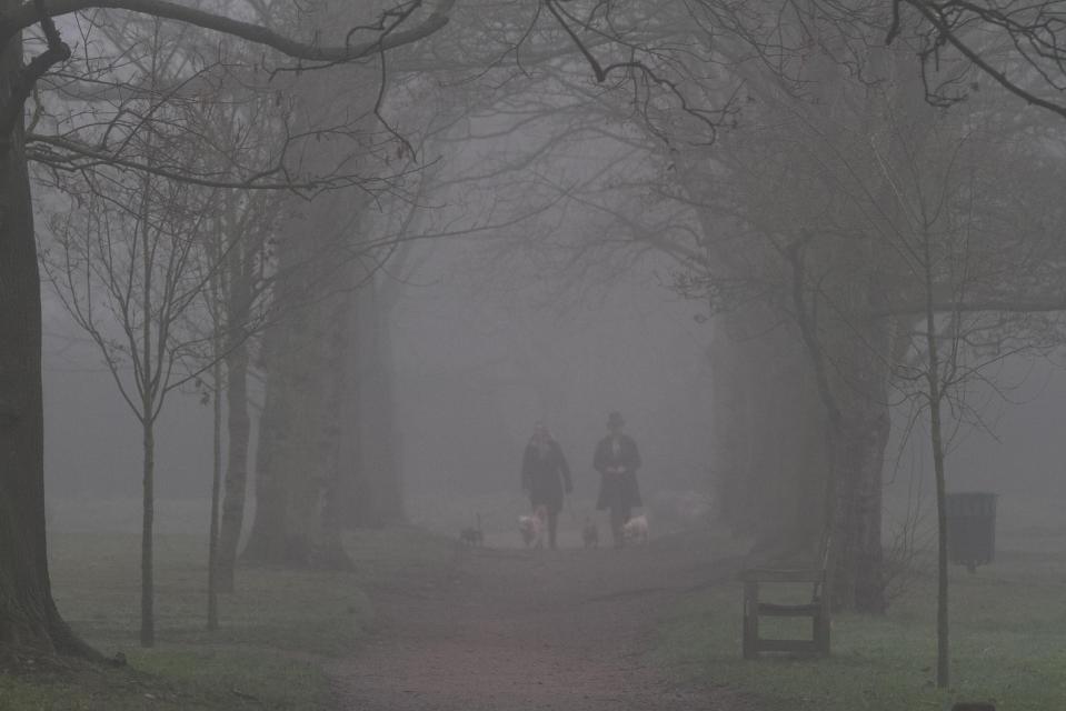 Fog