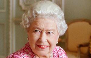 PM Theresa May SHOULD discuss her plans for  Brexit with 'disappointed' Queen, say Tory MPs