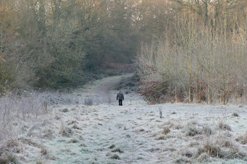  Picturesque frost covers the ground in Black House Woods, Berkshire as temperatures plummet across the UK and we enter a cold snap before New Year