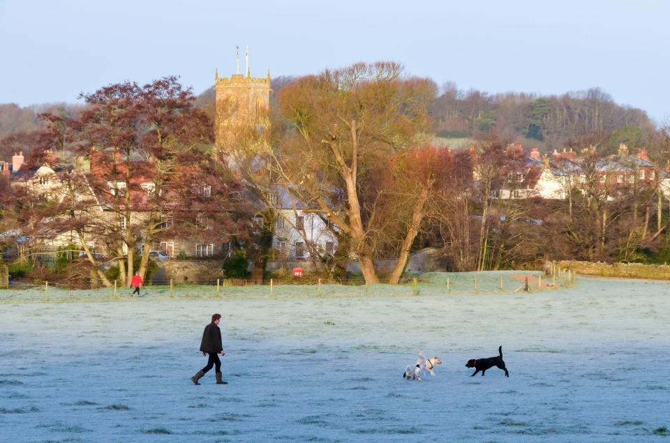  Dogs enjoy the icy conditions in Bridport, Dorset, with temperatures set to plunge further in the coming days, causing travel chaos as people return to work