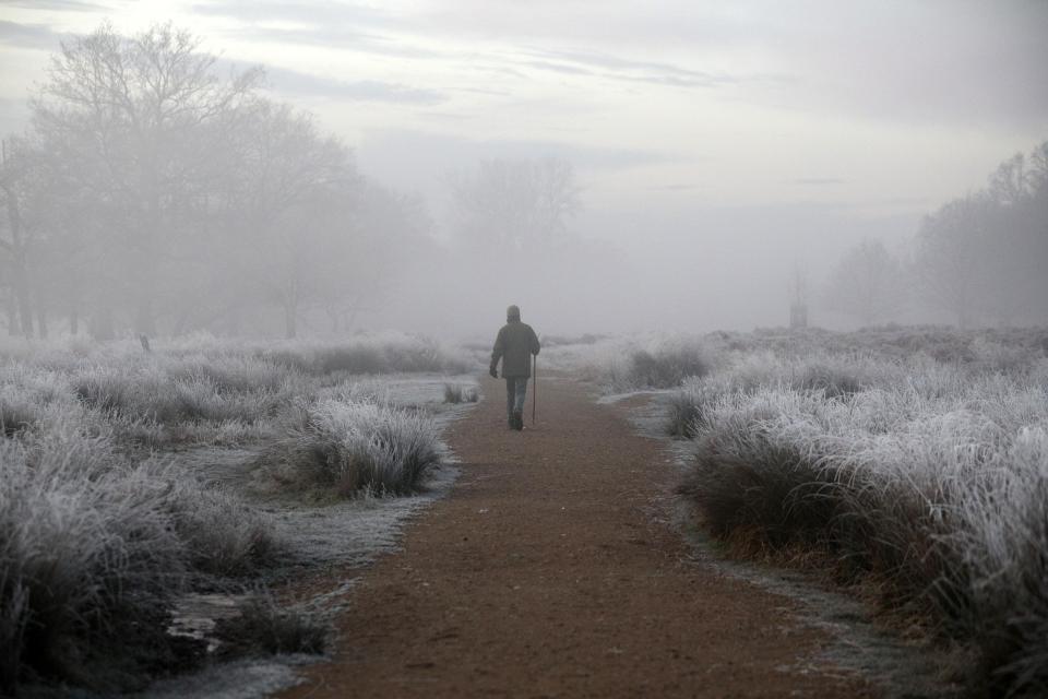  The cold and foggy conditions did not deter all walkers as they set off for a brisk start to the day in Richmond Park, London