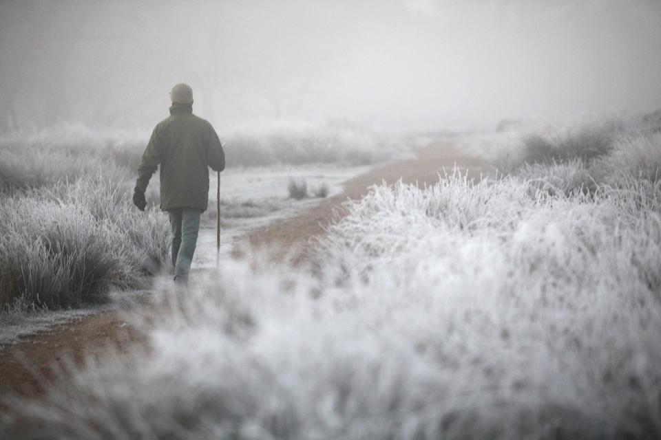  An enthusiastic hiker sets out on a cold and frosty walk through a fog-filled Richmond Park after temperatures plummeted last night