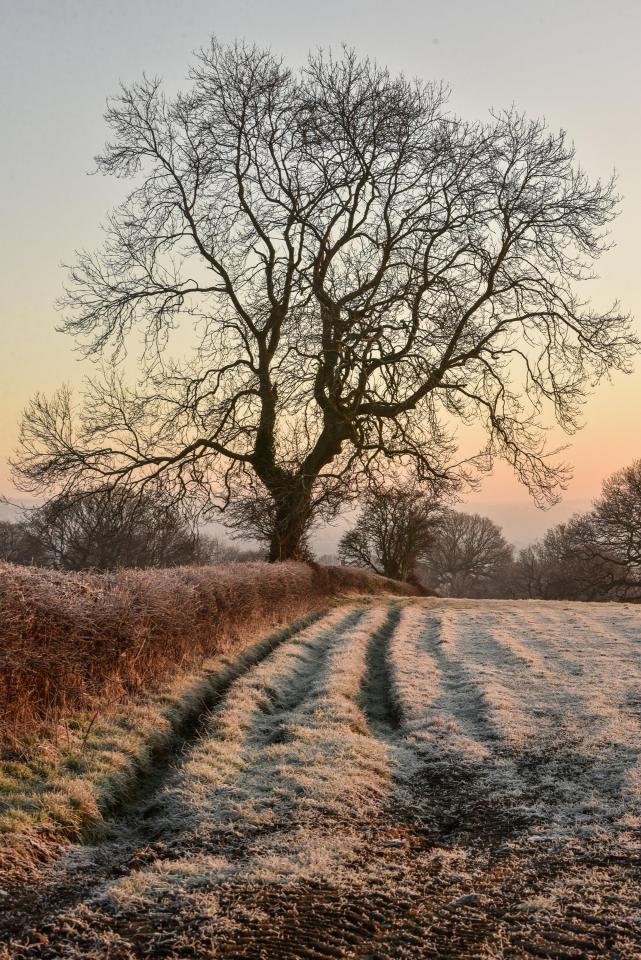  It was a frosty morning on the outskirts of Leeds today as the ground was covered in a white blanket