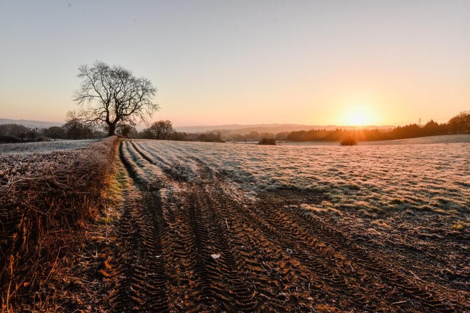  Furrows on this field in Leeds are defined by the frost clinging to the grass as the sun rises on the chilly day
