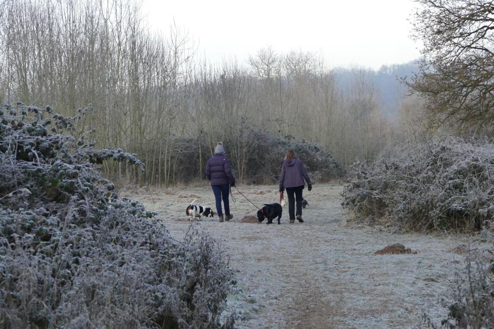  Walkers head out into in the frost covered fields at Clayfield Copse, Berkshire, this morning