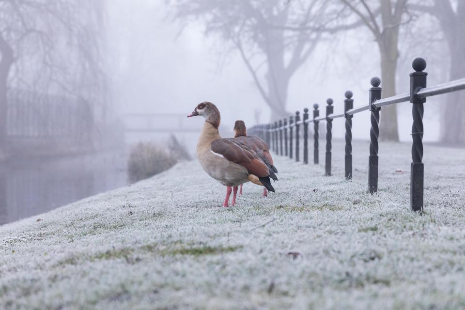  A sever weather warning is now in place until midday on Thursday due to the fog