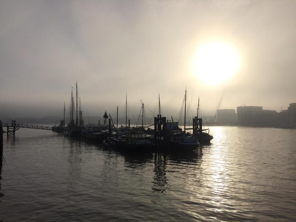  Dense fog on the river Thames makes for a magically beautiful morning in London, this morning