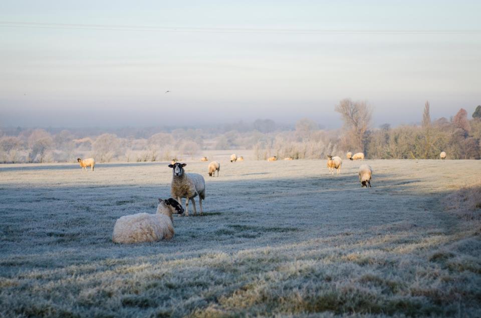  A freezing cold bright and clear start with a very heavy frost around the rural picturesque village of Calverton, Milton Keynes