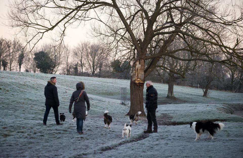  Dog walkers brave the chill to take their pets out in the fields near Cambridge