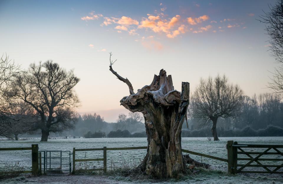  The meadows at Granchester near Cambridge are covered in frost as the ground hardened overnight in the cold