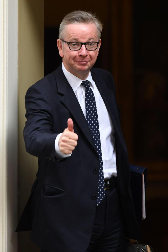 Michael Gove