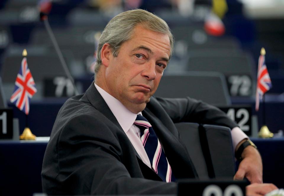 Studio chiefs want to produce a movie telling how the ex Ukip boss battled to get Britain out of the EU