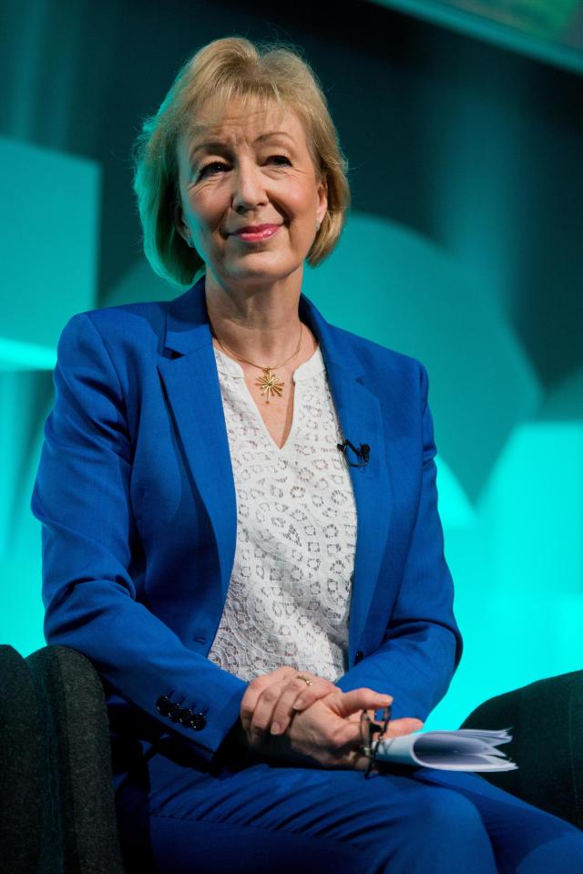  Strategy . . . Andrea Leadsom