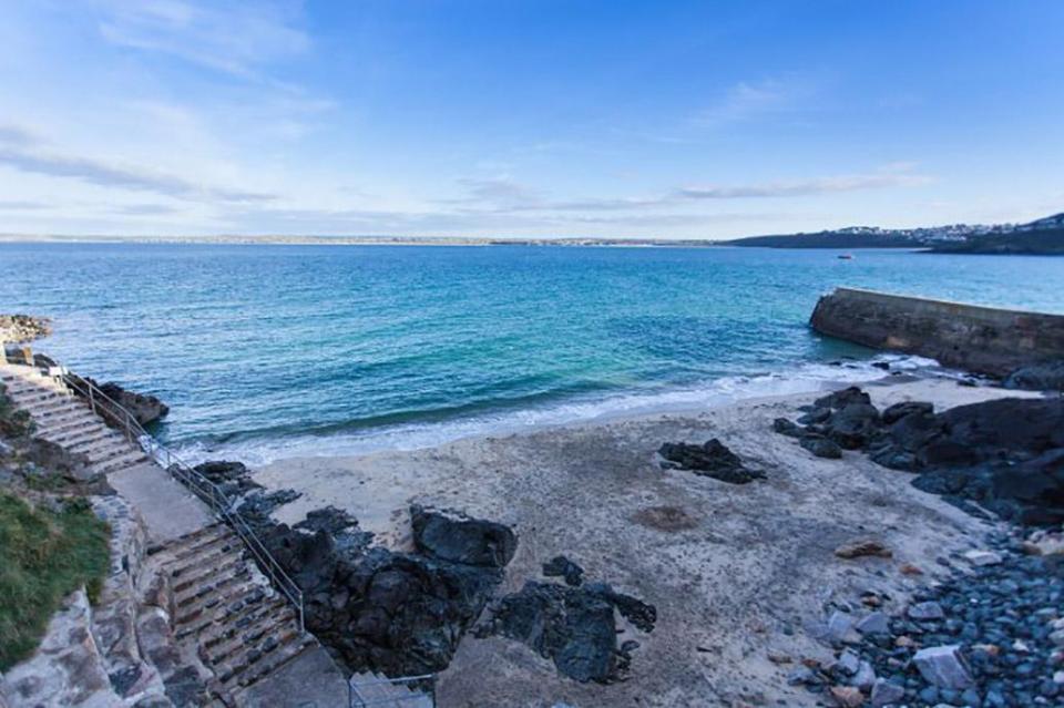 St Ives beach where dolphins have been found