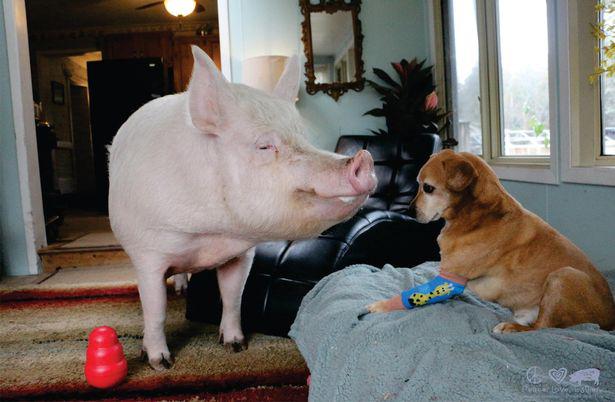  But then Esther started to grow ...and grow and grow