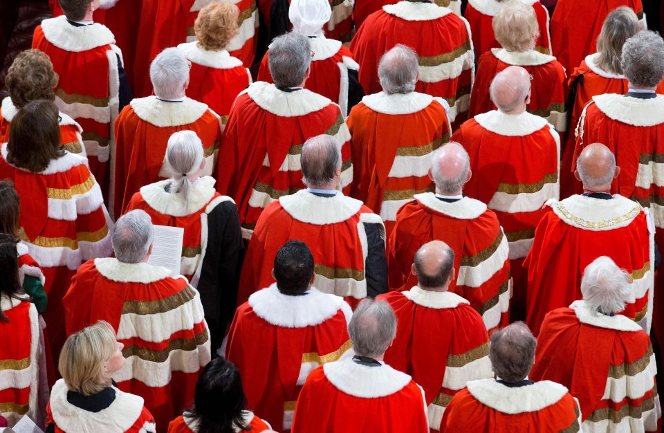  The peers could try and amend the bill and slow down Theresa Mays ability to trigger Article 50