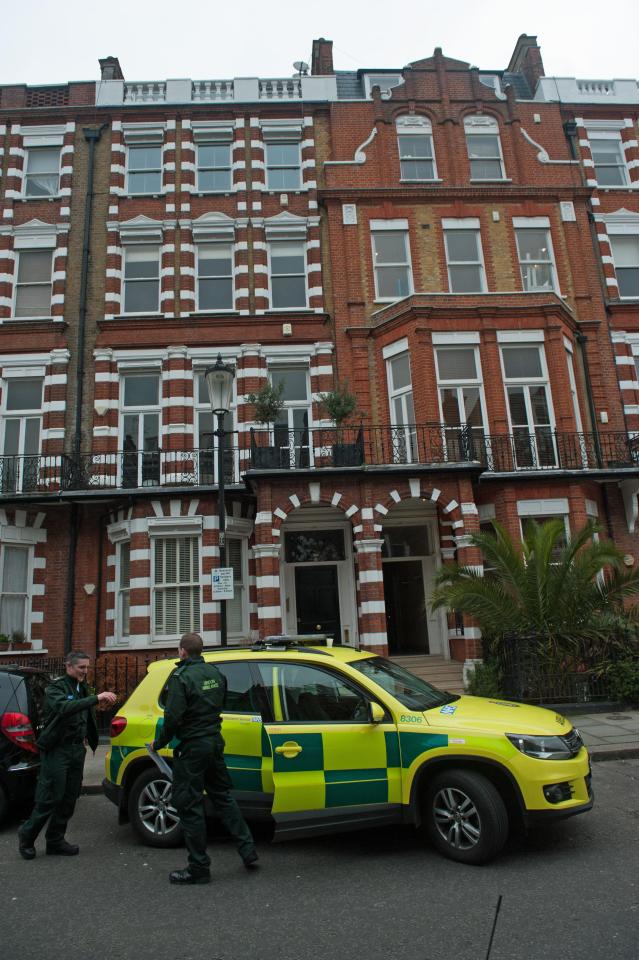 Medics outside Tara's London penthouse