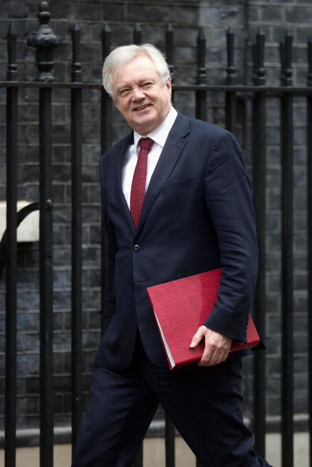  David Davis has softened his tone over the Upper Chamber recently
