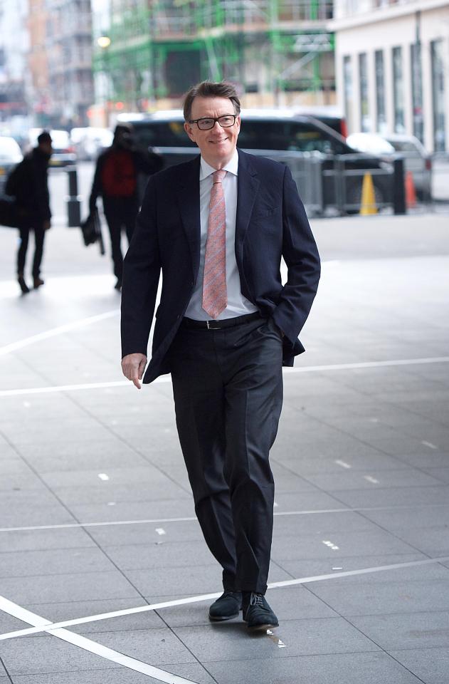  The Peer said reports of defections from Labour were "speculation"