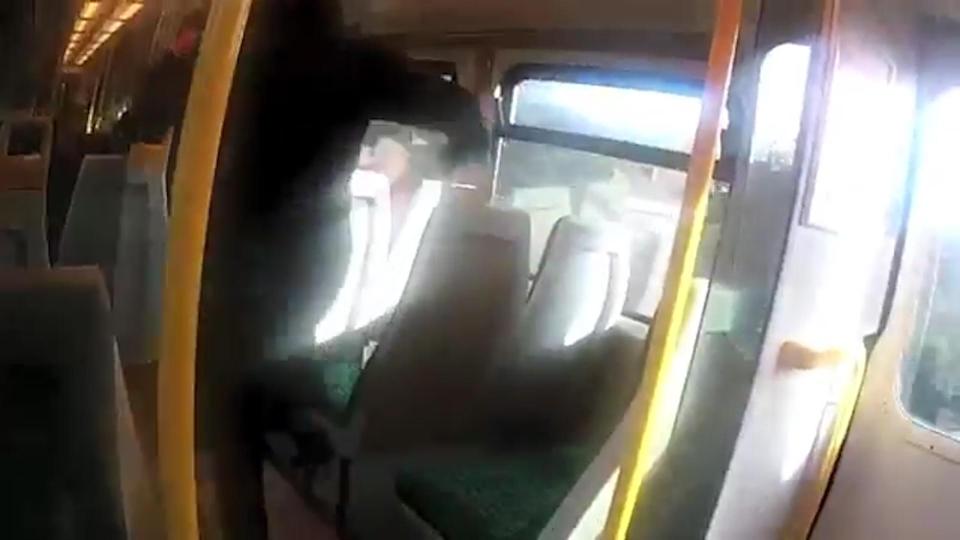  Elliot Nash launched into a brutal attack on train staff after being caught without a ticket