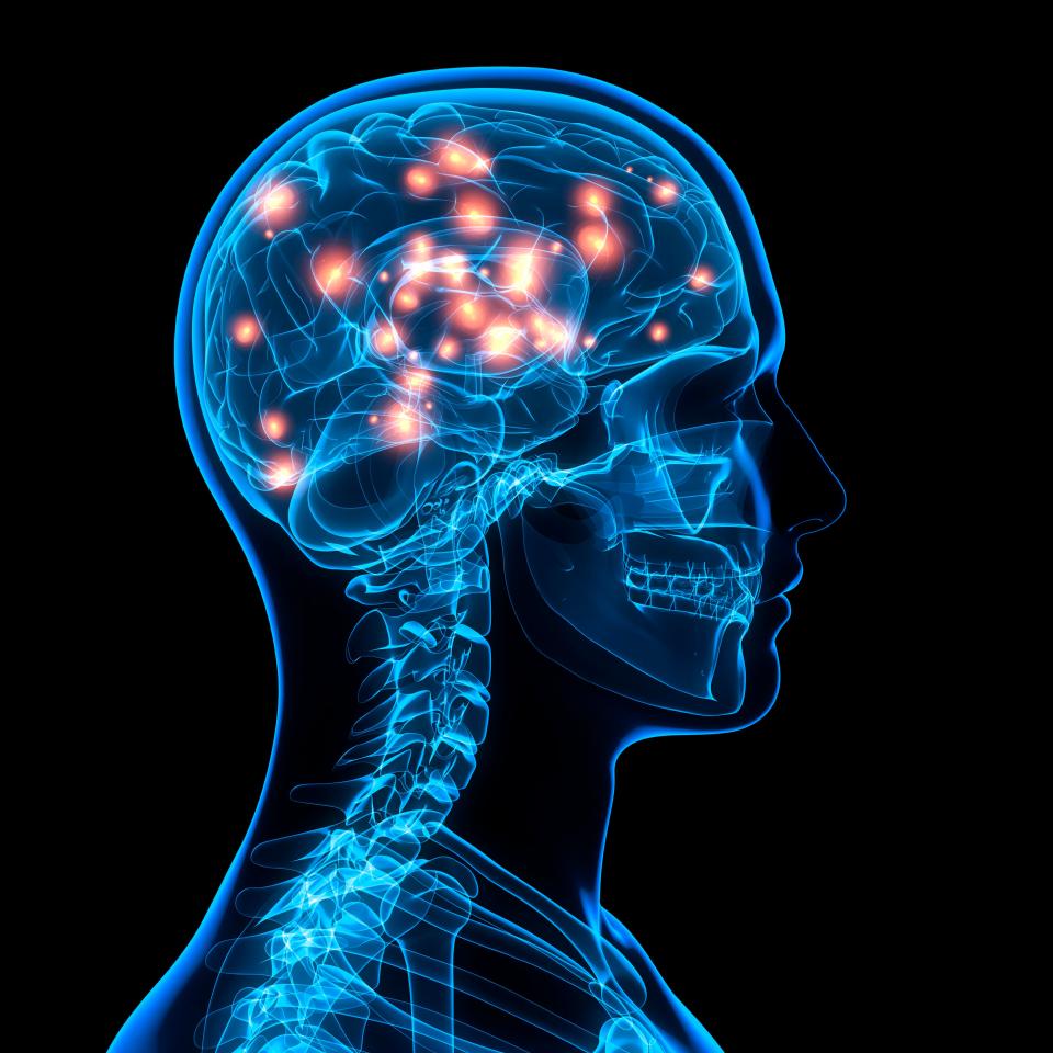 Less brain activity was recorded in volunteers when they used a SatNav