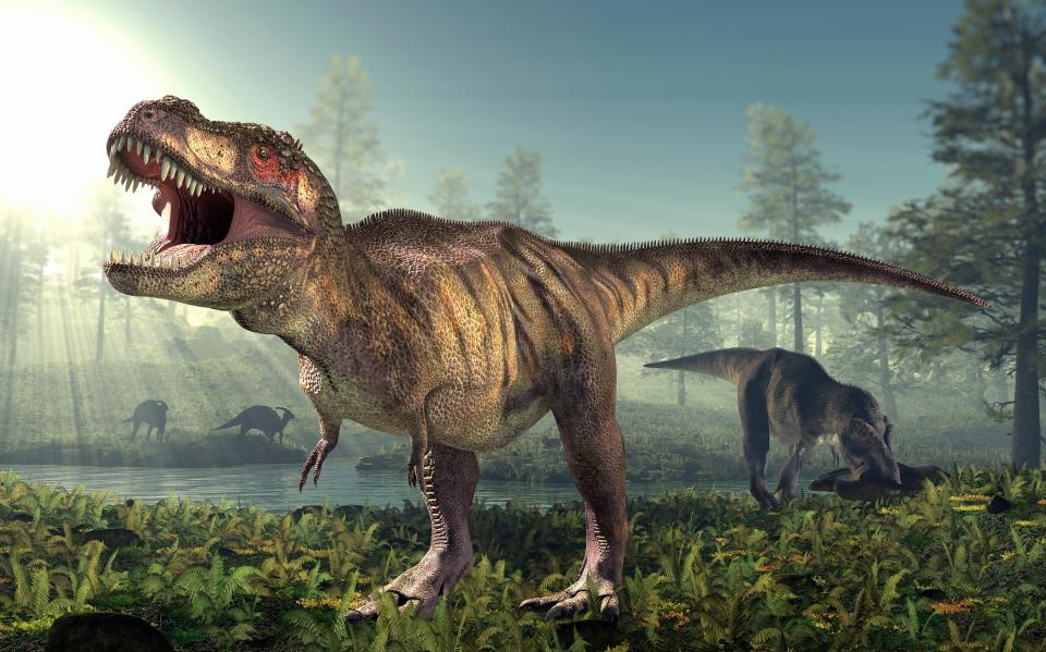  An artist's impression of the Tyrannosaurus Rex